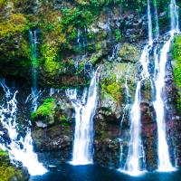 Paix et amour sur terre