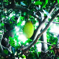 Studiomanjess com 12