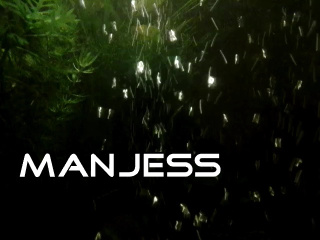 manjess